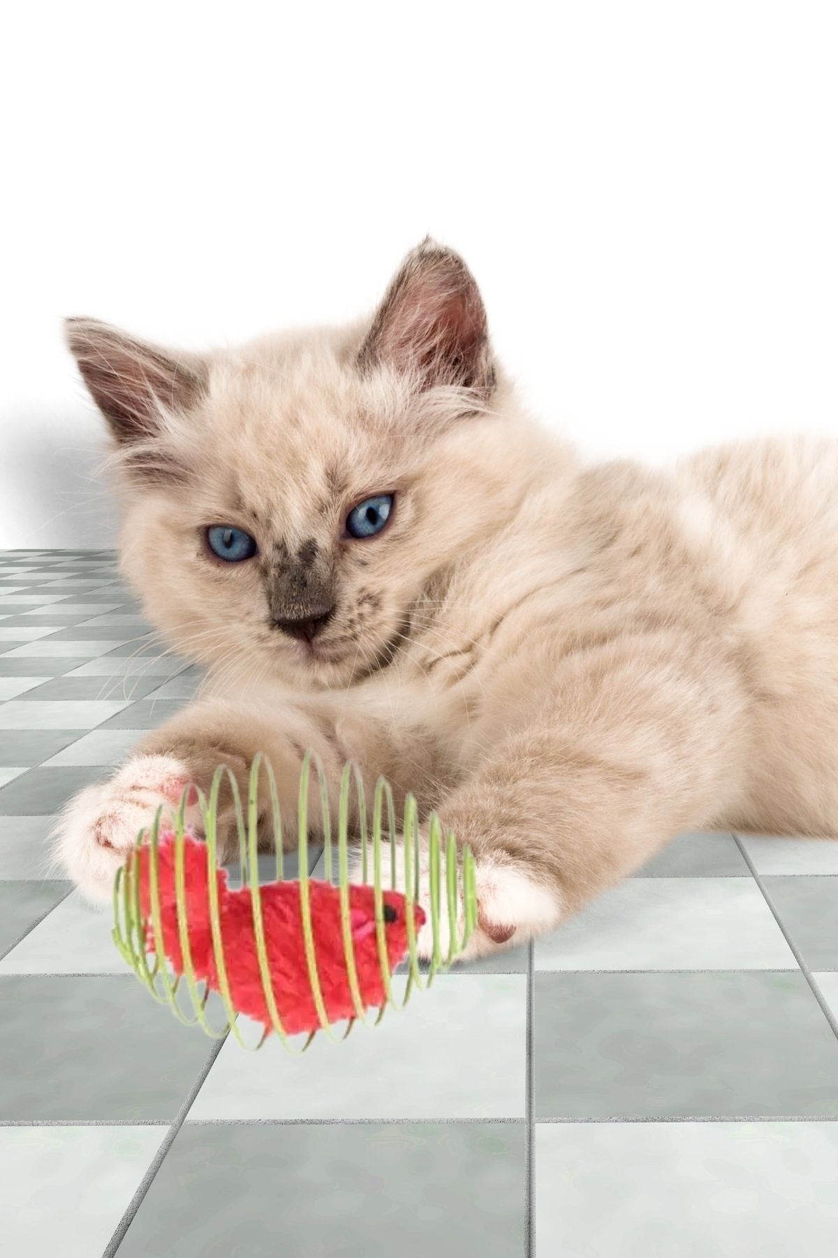 BUFFER® Yaylı Metal Fareli Kafes Kedi Oyun Topu Sıçrayan Spiral Kedi Topu