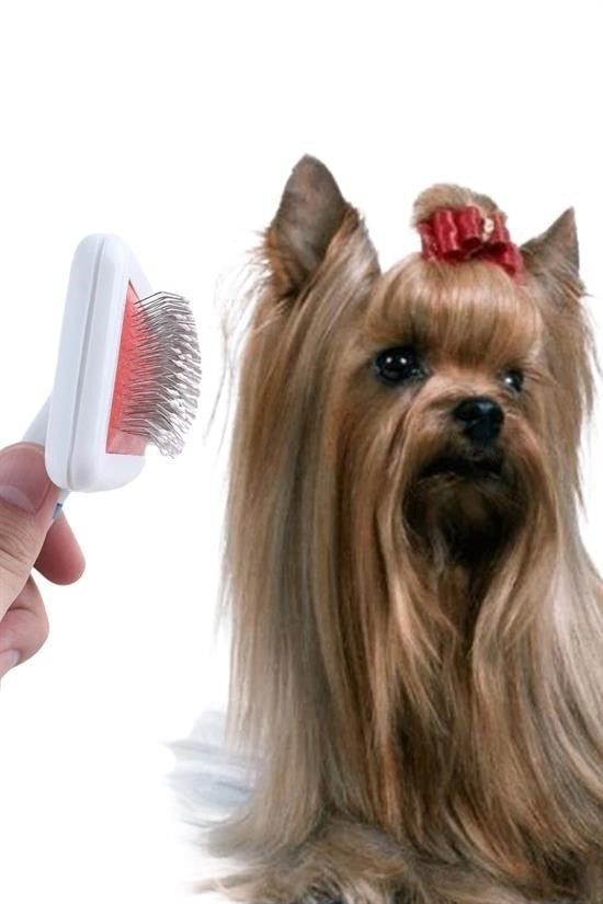 GENEL® Paslanmaz Evcil Hayvan Kedi Köpek Tüy Tarama Toplama Fırçası Kolay Temizlenir Bakım Aleti - UcuzaGeliyor