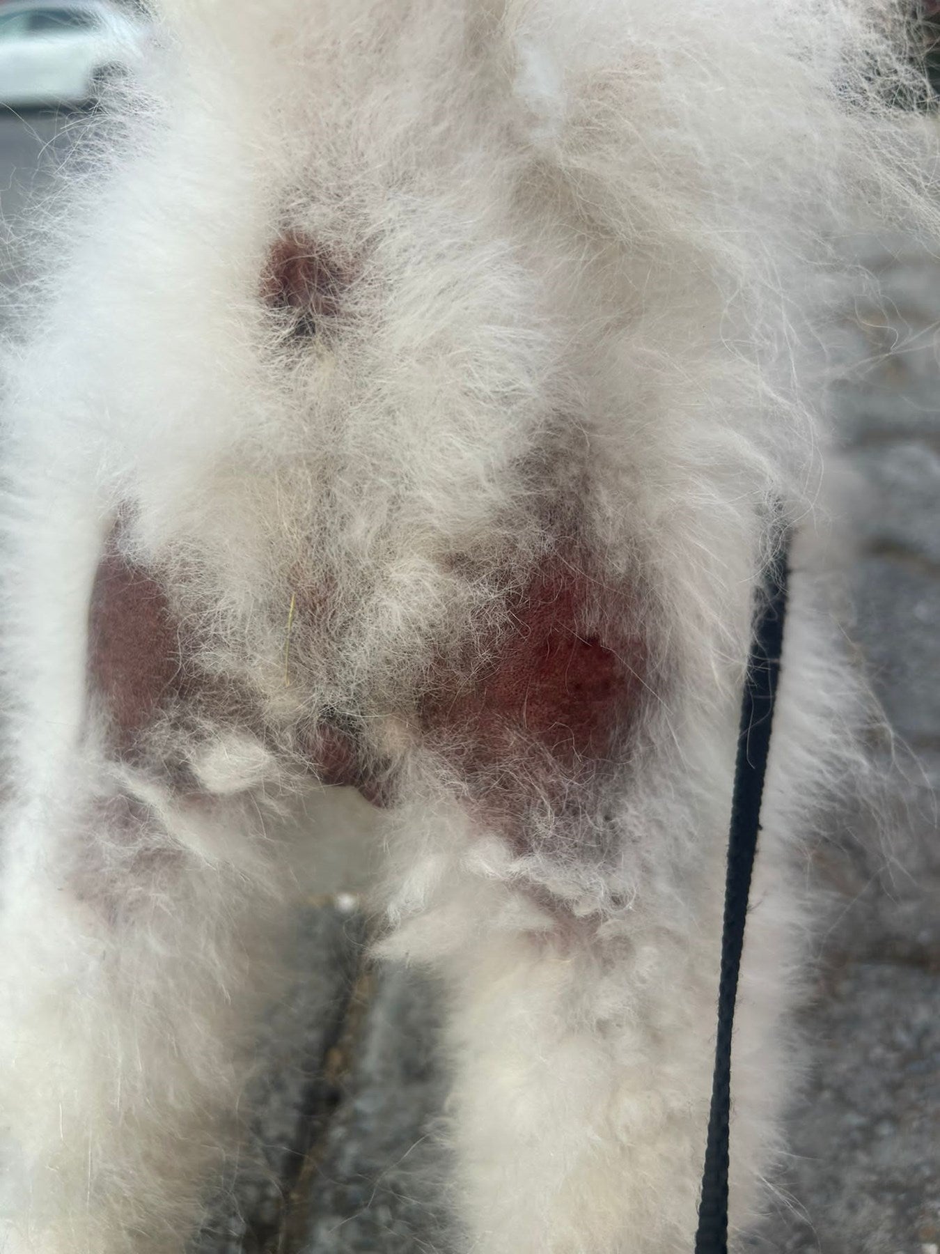 ALOPESİA X TEDAVİ ŞAMPUANI 250 ml