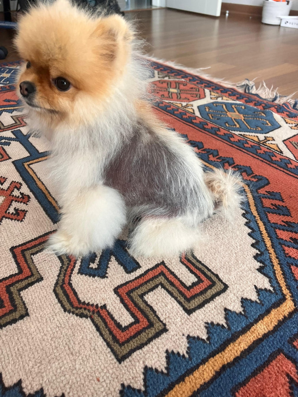 ALOPESİA X TEDAVİ ŞAMPUANI 250 ml