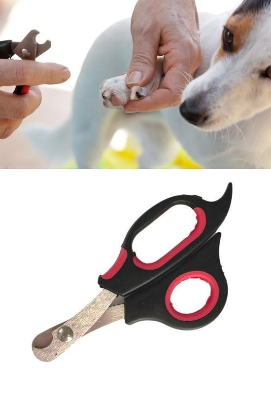 GENELBüyük Irk Köpek Kedi Çelik Uçlu Evcil Hayvan Tırnak Makası Pati Bakım Aleti Ergonomik Kaymaz - UcuzaGeliyor