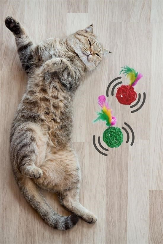 BUFFER® 2li Rattan Renkli Peluş Tüy Kedi Köpek Oyuncak Yakalama Çiğneme Çıngıraklı Top Oyuncağı - UcuzaGeliyor