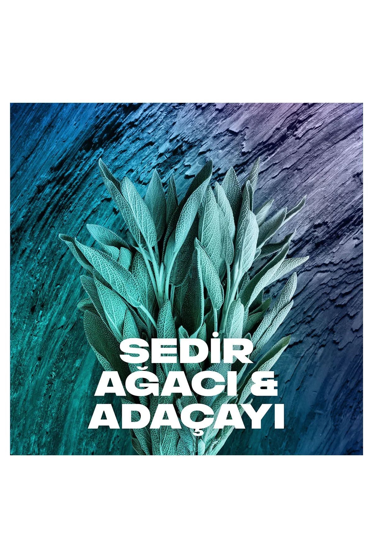 Axe Erkek Sprey Deodorant Apollo 48 Saat Etkileyici Koku Vücut Spreyi 150 ml