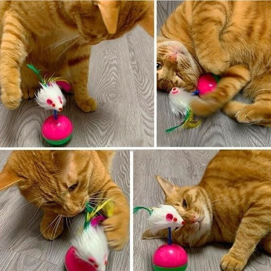 GENEL® Kedi Oyun Topu Tüylü Fareli Hacı Yatmaz Eğitici Yavru Kedi Fare Kovalama Oyuncağı - UcuzaGeliyor