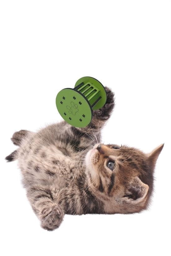 BUFFER®  Mini Silindir Eğlenceli Renkli Sağlam Küçük Pati İzi Şekilli Kedi Oyuncağı - UcuzaGeliyor