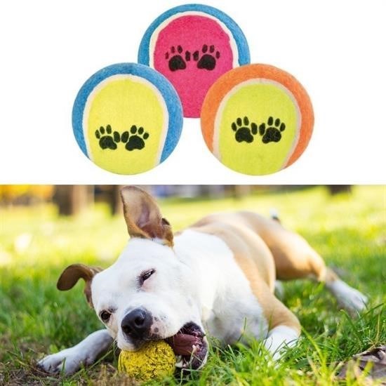 GENEL®  3lü Renkli Desenli Tenis Topu Kedi Köpek Oyuncağı - UcuzaGeliyor