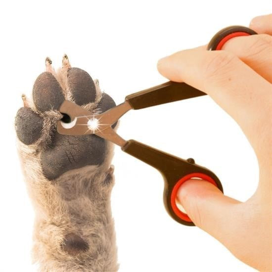 GENEL® Evcil Hayvan Tırnak Makası Ve Törpü Seti Manikür Pedikür Pati Bakım Aleti Kaymaz Sap - UcuzaGeliyor