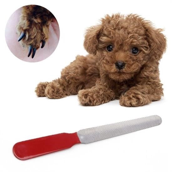 GENEL® Evcil Hayvan Tırnak Makası Ve Törpü Seti Manikür Pedikür Pati Bakım Aleti Kaymaz Sap - UcuzaGeliyor