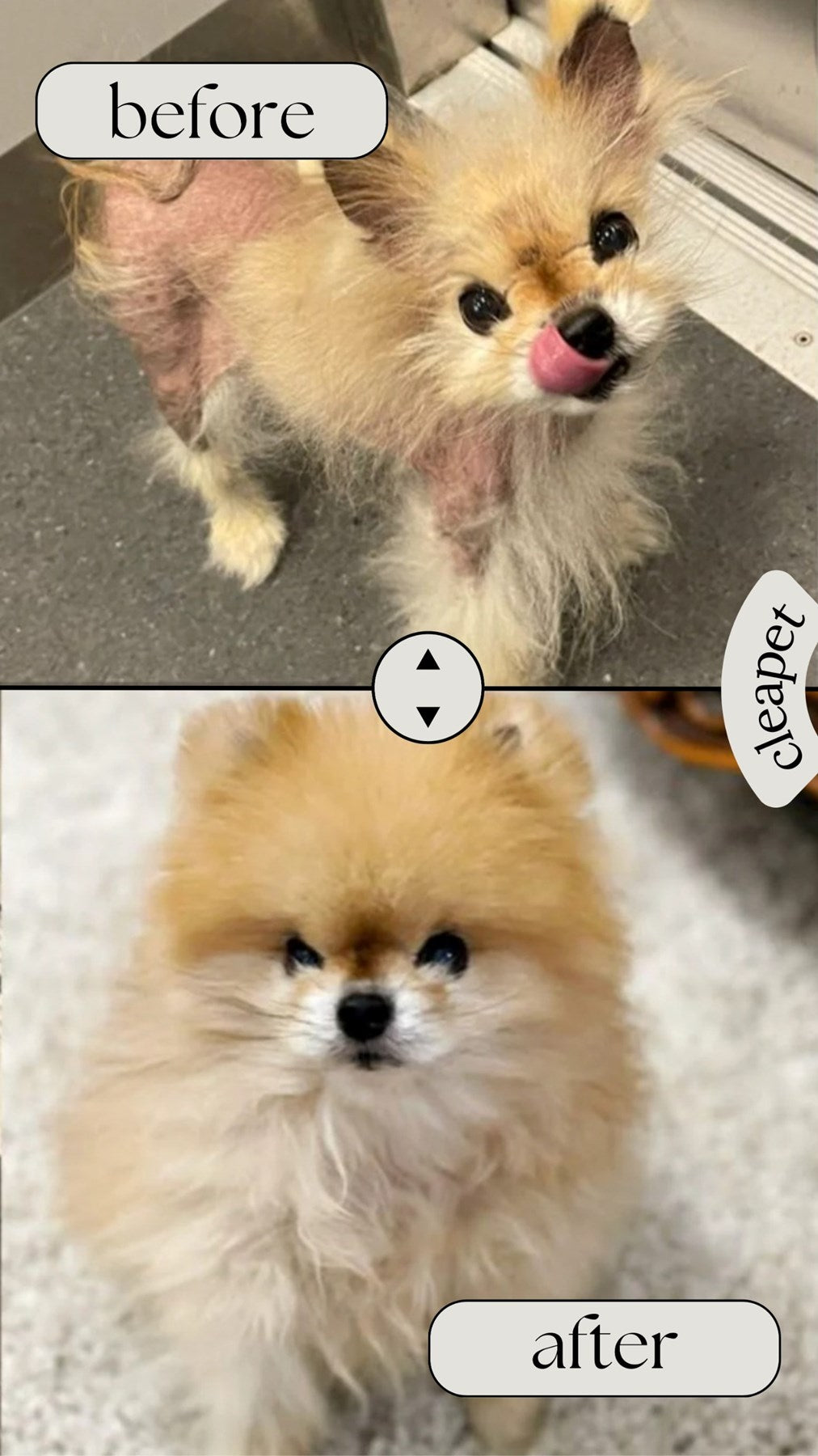 ALOPESİA X TEDAVİ ŞAMPUANI 250 ml