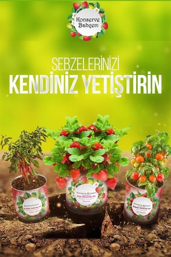 GENEL® Konserve Bahçem Evde Konservede Tatlı Sivri Biber Yetiştirme Kiti - UcuzaGeliyor