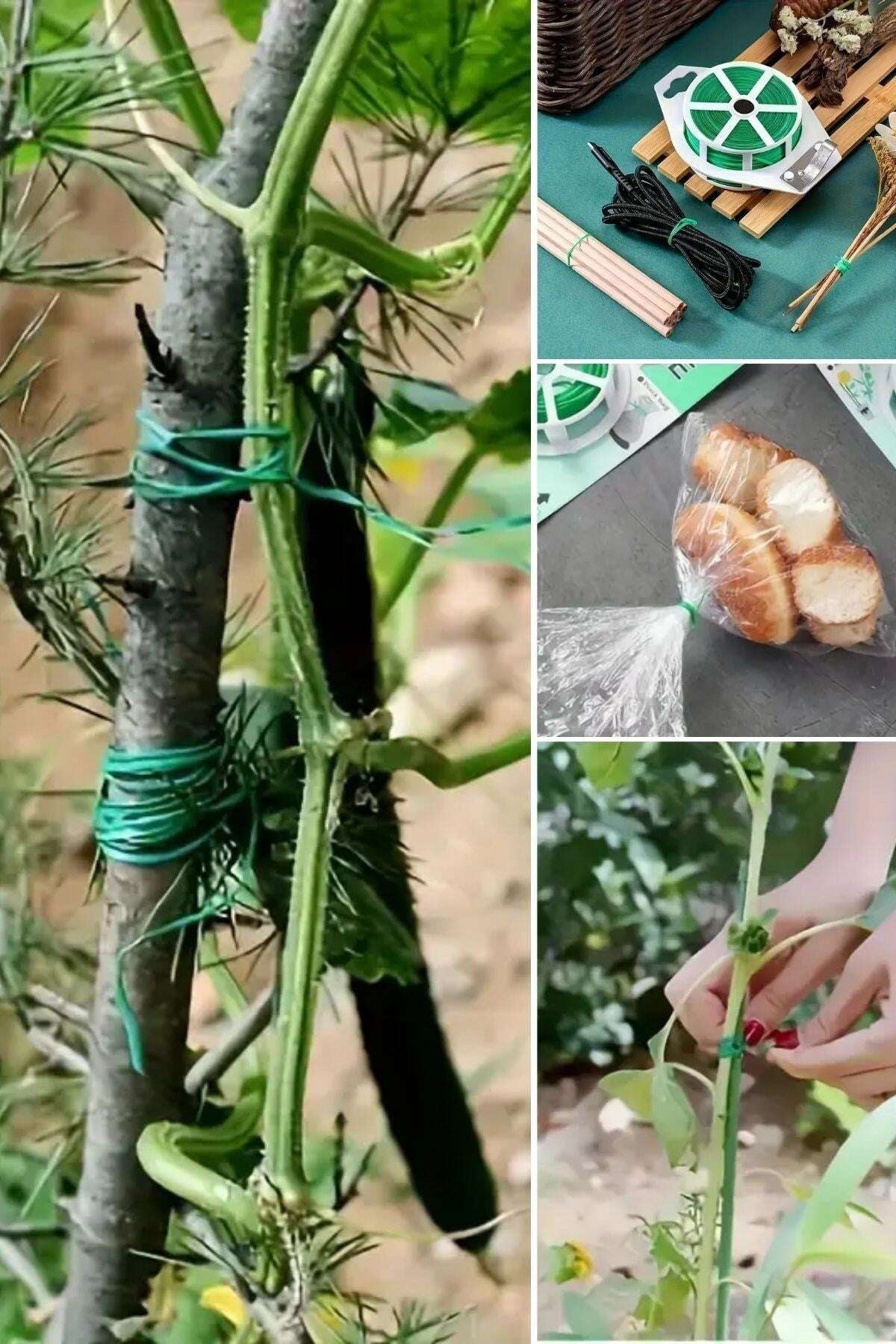 GENEL® 50 Metre Kendiliğinden Kesici Bıçaklı Bitki Saksı Kablo Sabitleme Teli - UcuzaGeliyor