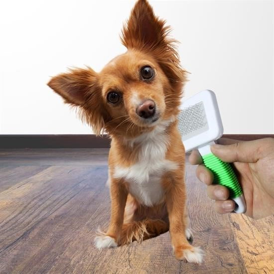 GENEL® Kedi Köpek Telli Küçük Boy Tüy Bakım Seti Evcil Hayvan Tarama Fırçası - UcuzaGeliyor