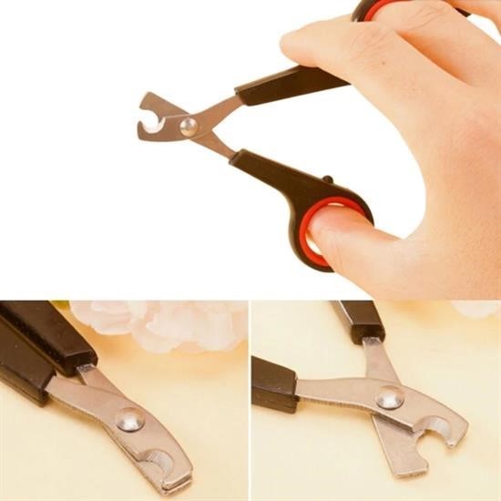 GENEL® Evcil Hayvan Tırnak Makası Ve Törpü Seti Manikür Pedikür Pati Bakım Aleti Kaymaz Sap - UcuzaGeliyor