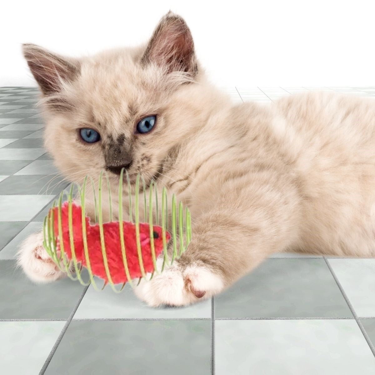 BUFFER® Yaylı Metal Fareli Kafes Kedi Oyun Topu Sıçrayan Spiral Kedi Topu