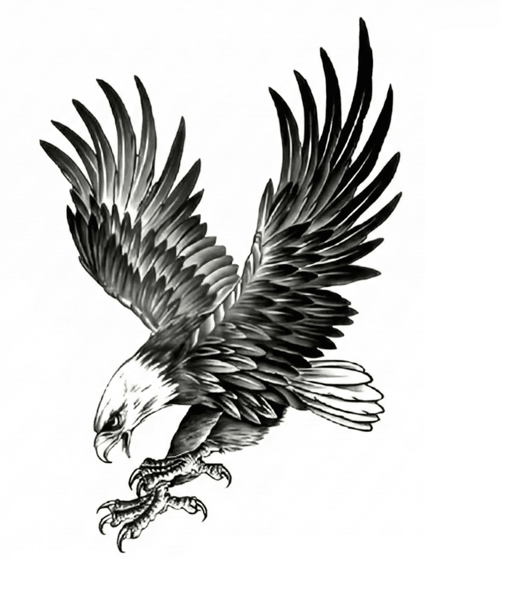 Kartal Geçici Dövme Şablonu Büyük Boy