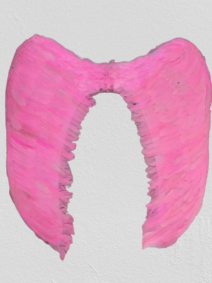 Mega Boy Pembe Renk Tüylü Melek Kanadı 100x85 Cm