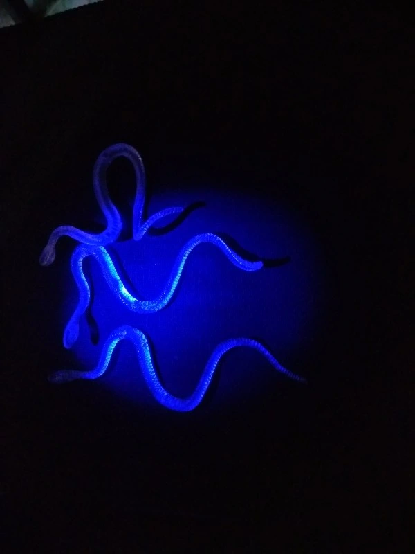 Şaka Yılan Ve Kırkayak Karışık 36 Adet